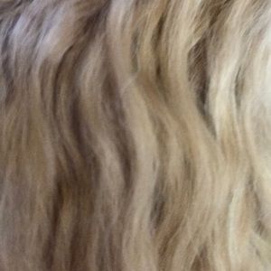 Meet your Posher, Kelli